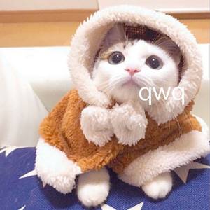 无码精品人妻一区二区三刘亦非
