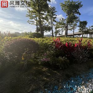 无码精品人妻一区二区三刘亦非
